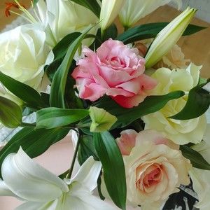 Meet your Posher, Sonja